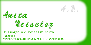 anita meiselsz business card